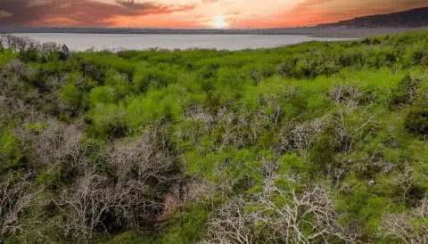 Acreage with Lake Access