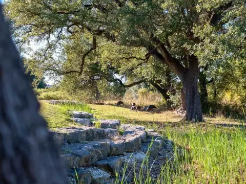 Golf Course Lot in Cleburne