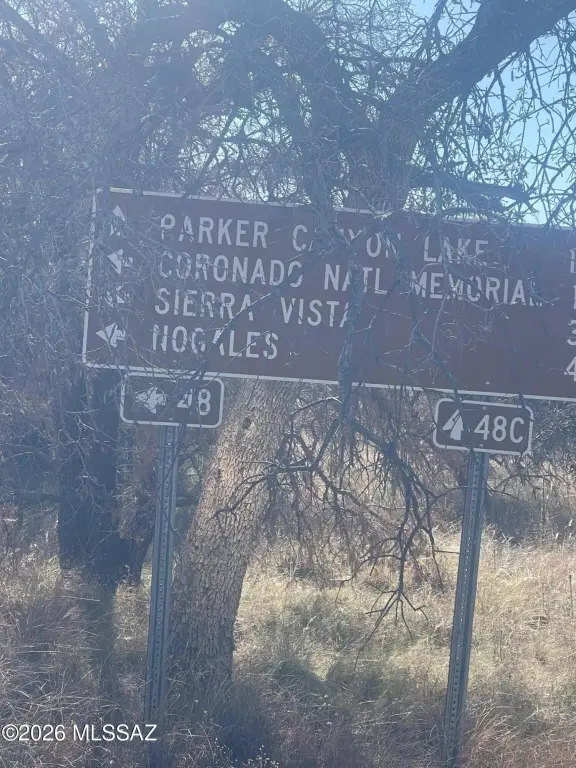 Picture 16