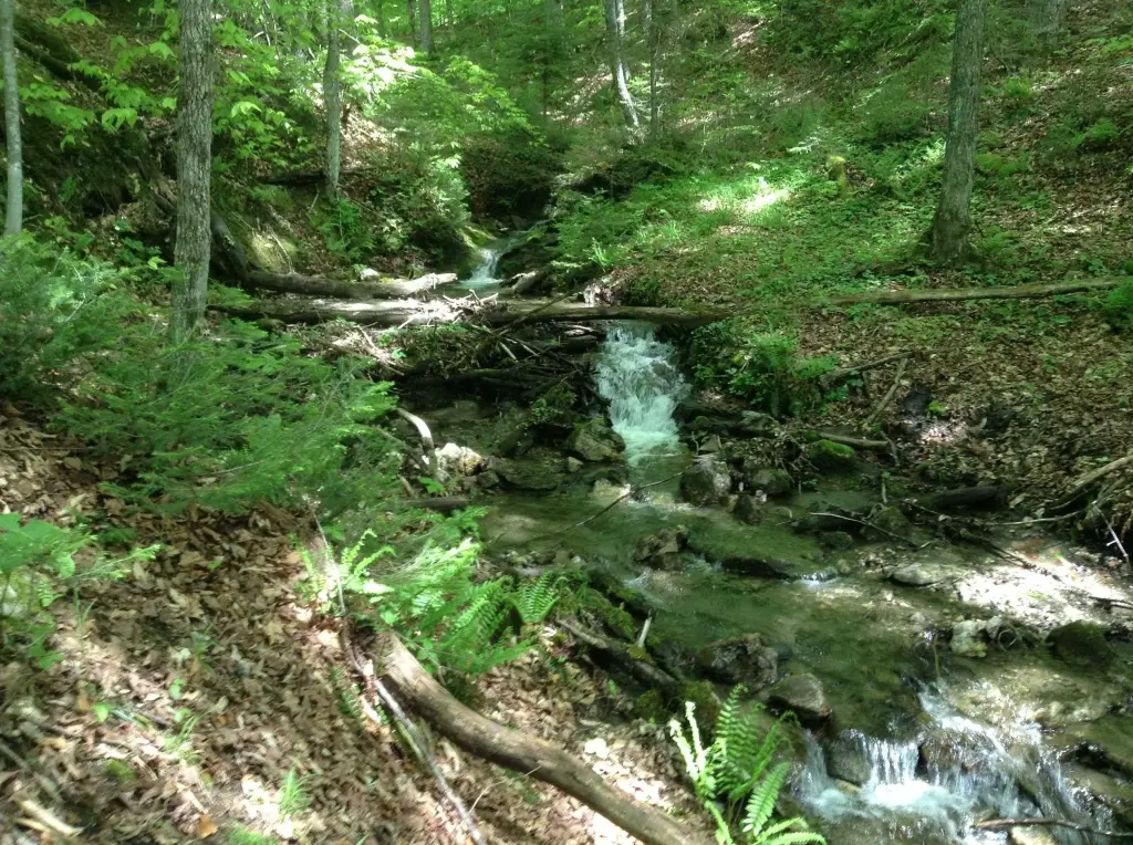 Picture 5