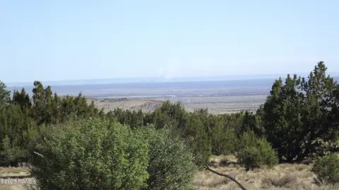 Heavily Treed Land in Williams