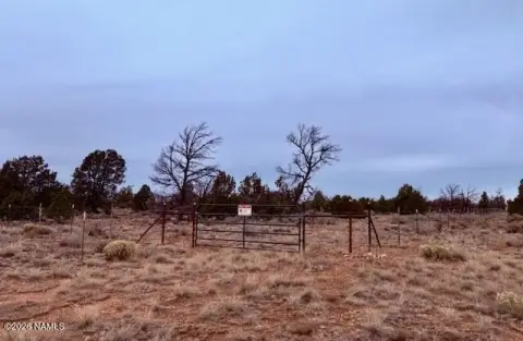 Treed Land Near Grand Canyon