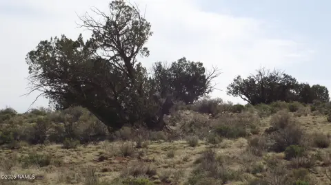 Land with Panoramic Views