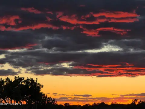 Williams, AZ Land with Views