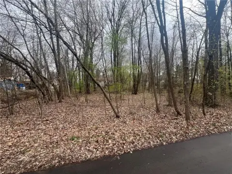 Wooded Lot Near Lake