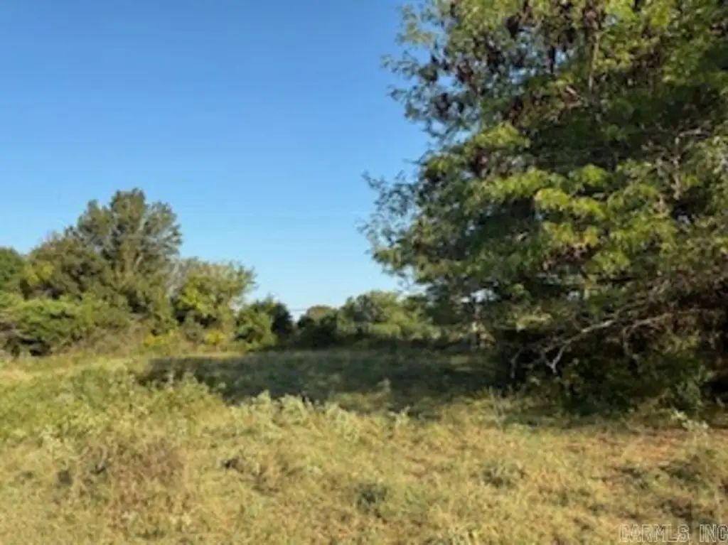 Picture 19