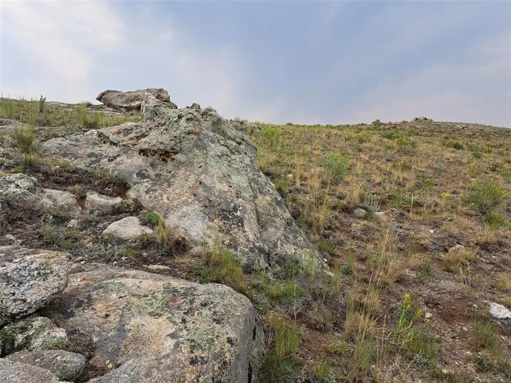 Picture 25