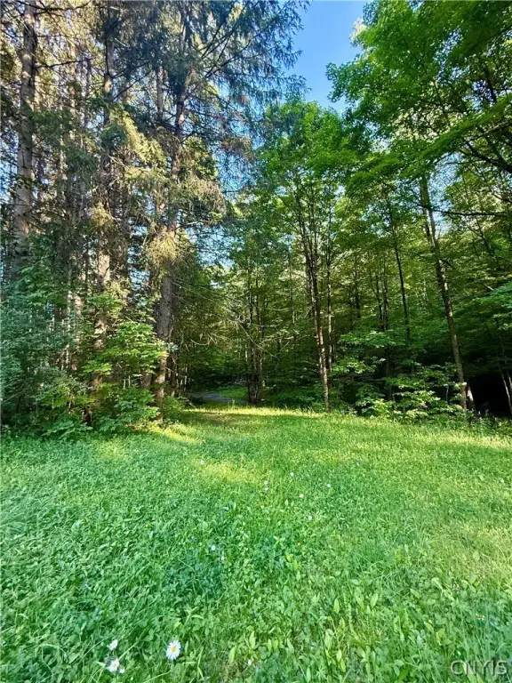 Picture 9