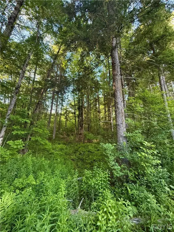Picture 18
