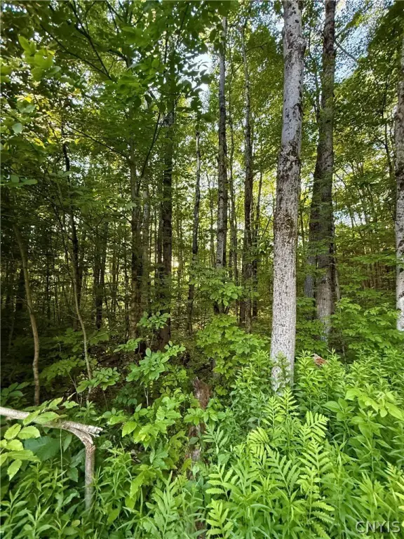 Picture 17