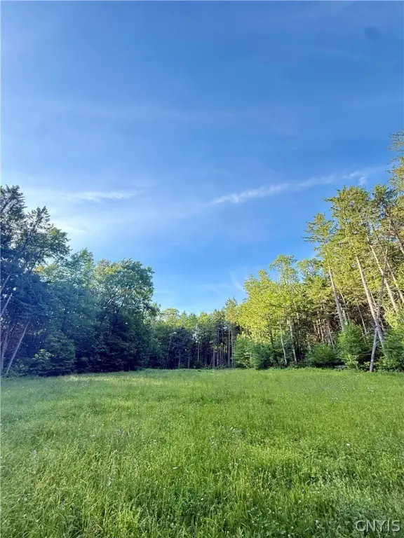 Picture 6