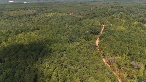 Secluded Wooded Acreage Near Jefferson