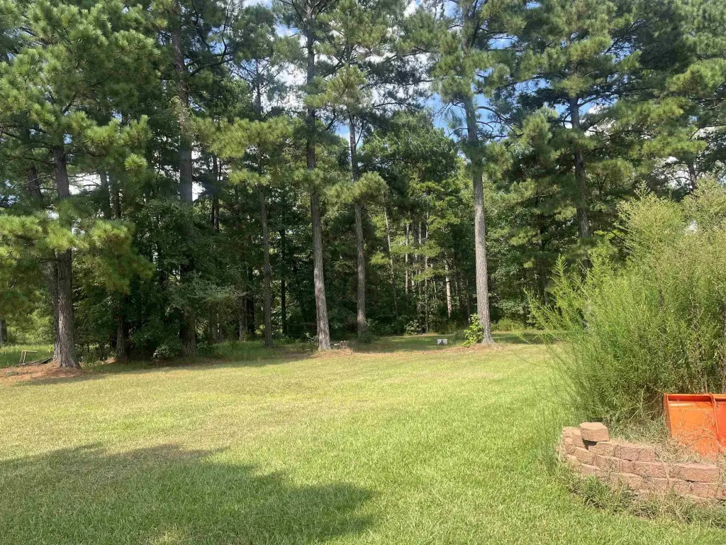 Picture 19