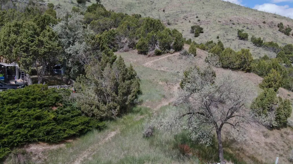 Picture 5
