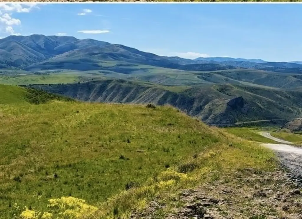 Picture 2