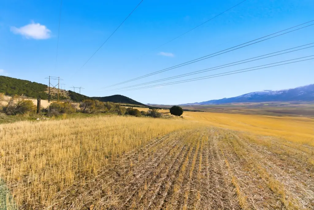 Picture 21