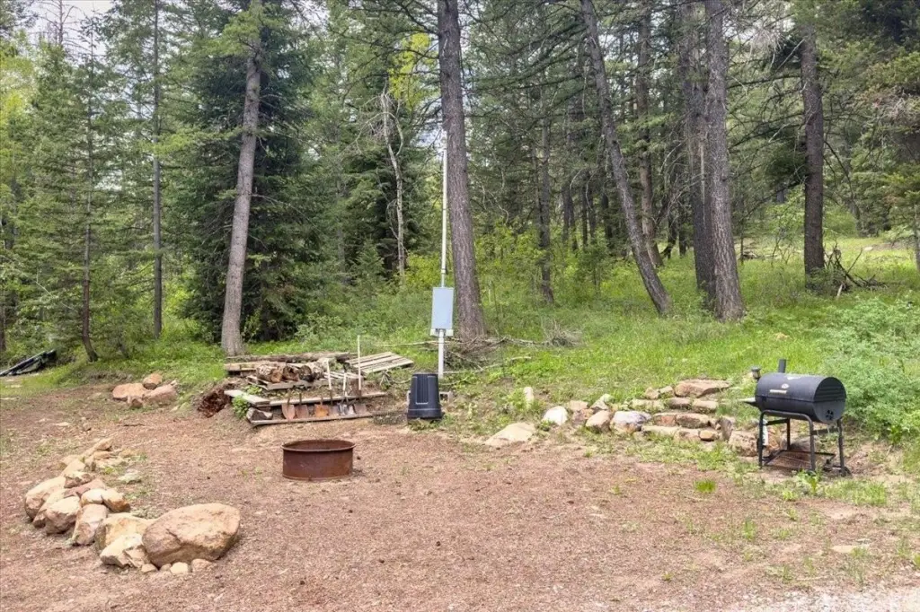 Picture 18