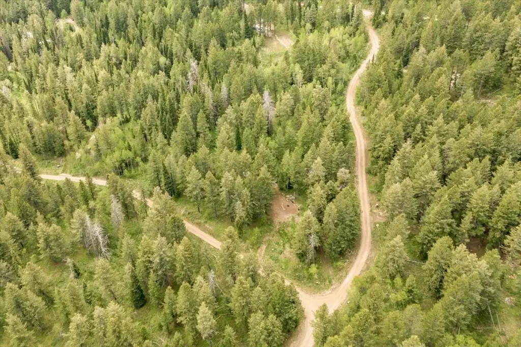 Picture 6