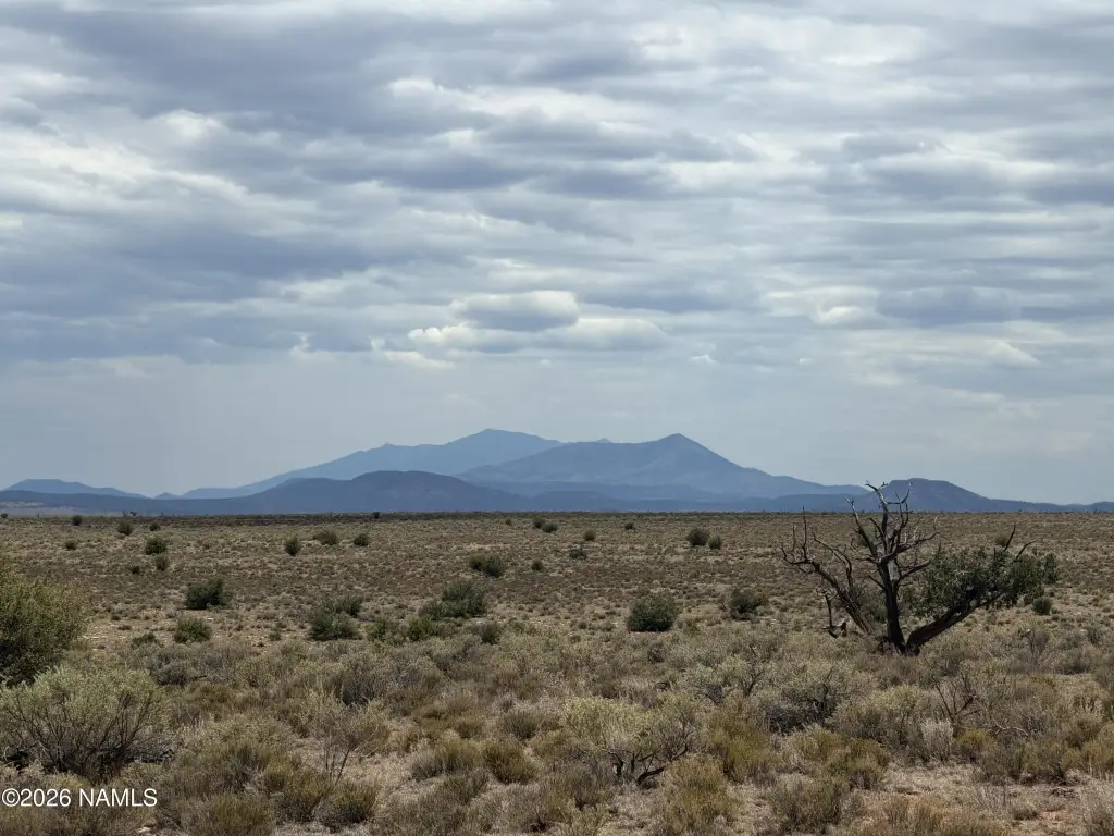 Picture 9