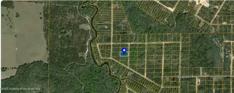 Land in Webster, Florida