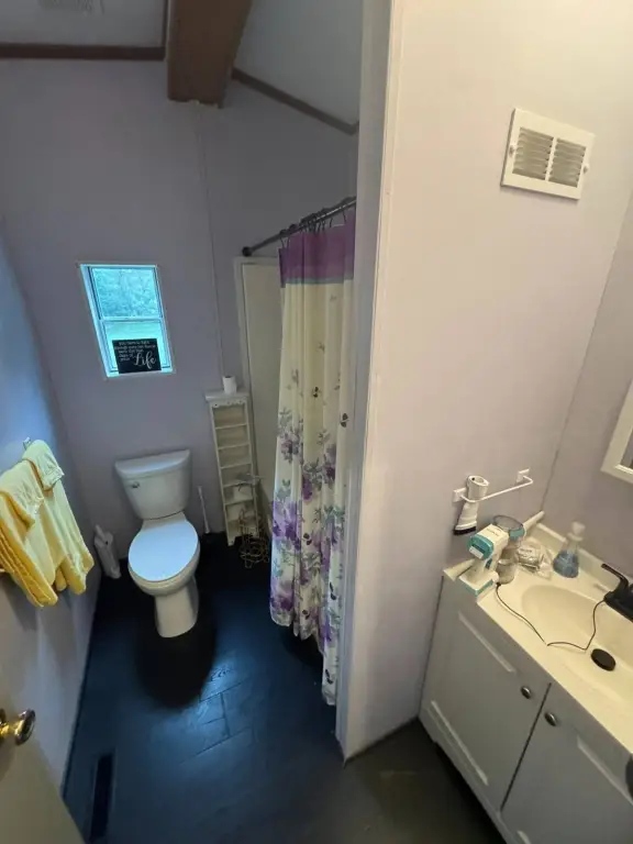 Picture 46