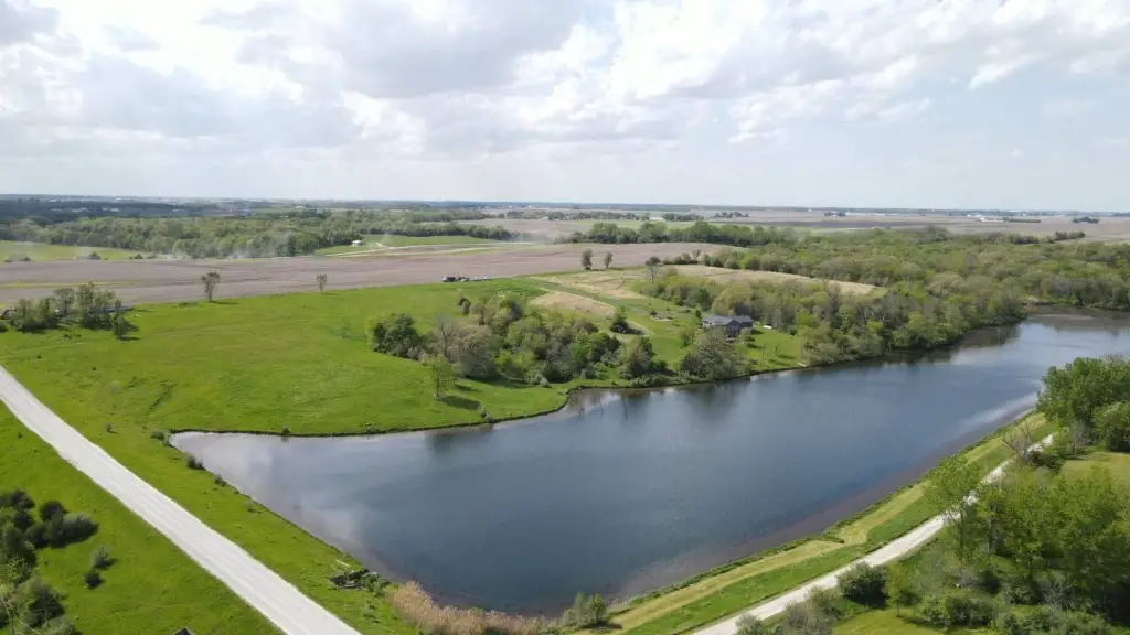 Picture 12