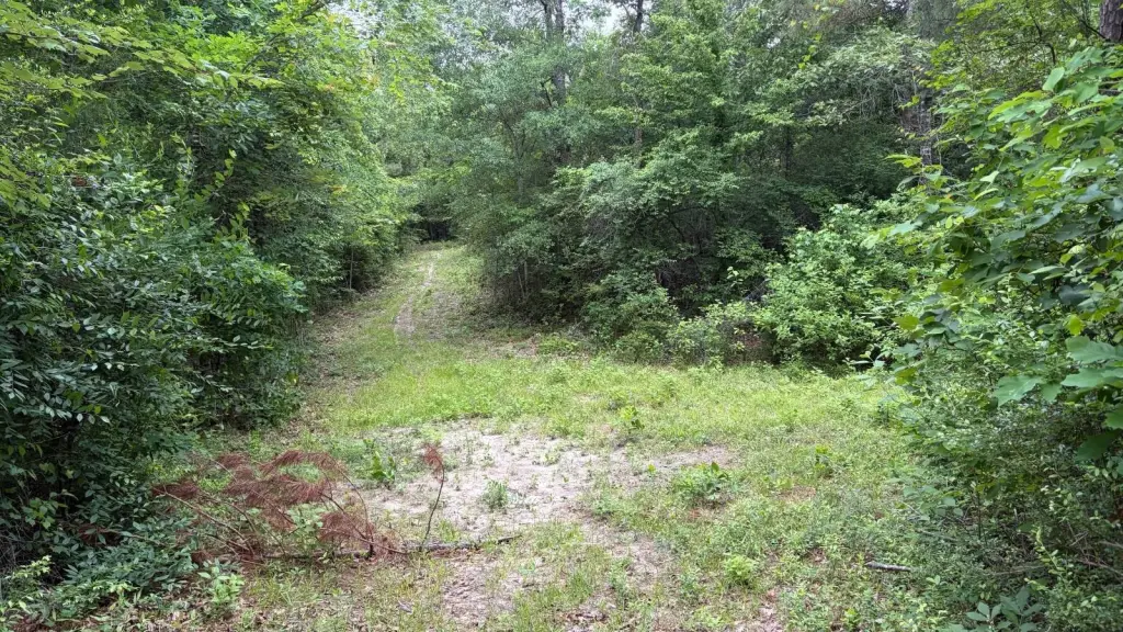 Picture 14