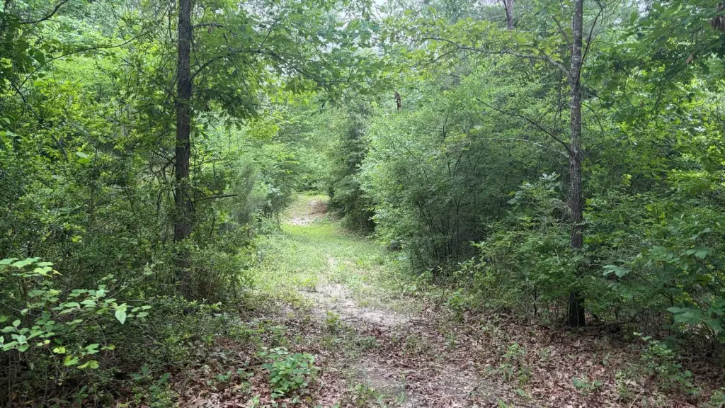 Picture 11