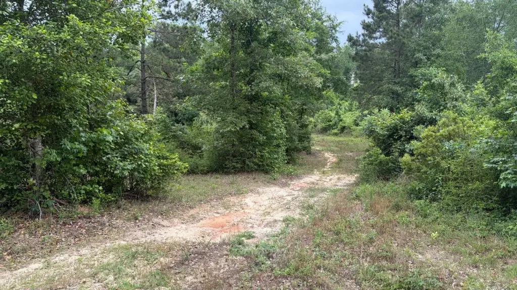 Picture 19