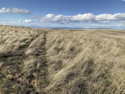 Mabton Land with Owner Financing