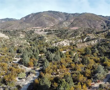 246 Acre Anza Legacy Property