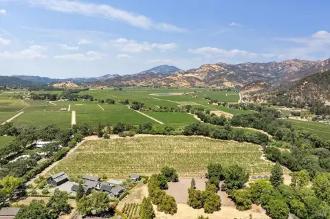 Calistoga Vineyard Opportunity