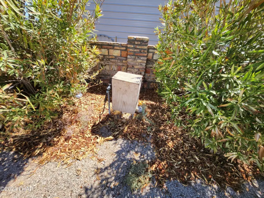 Picture 17