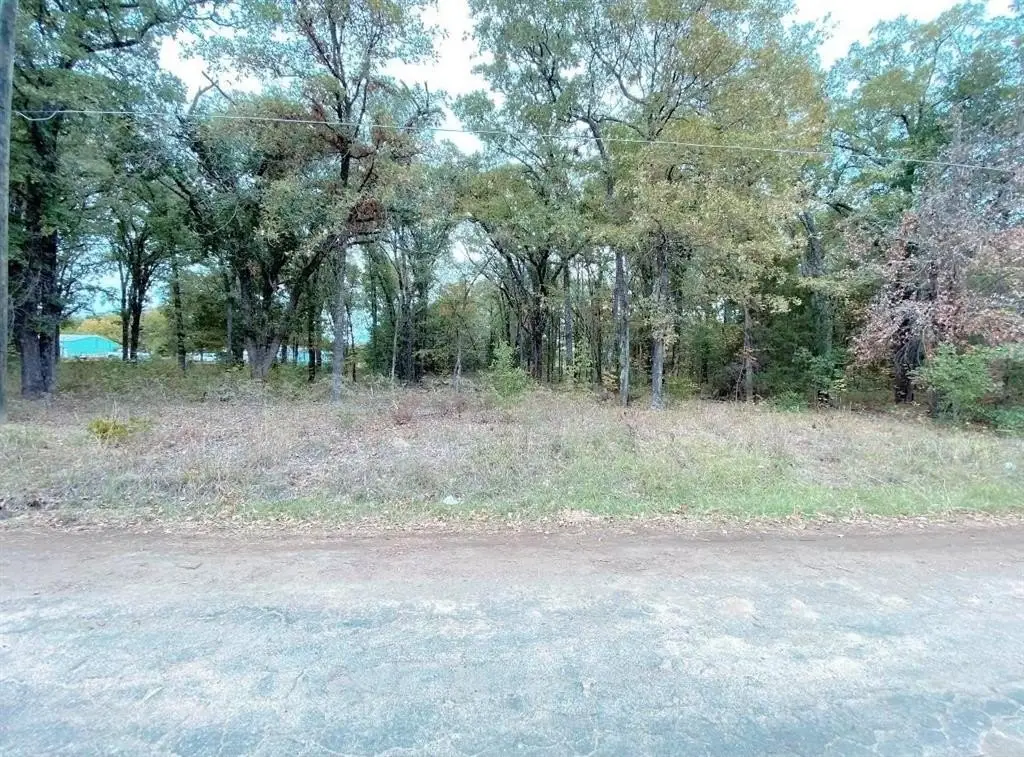 Picture 4