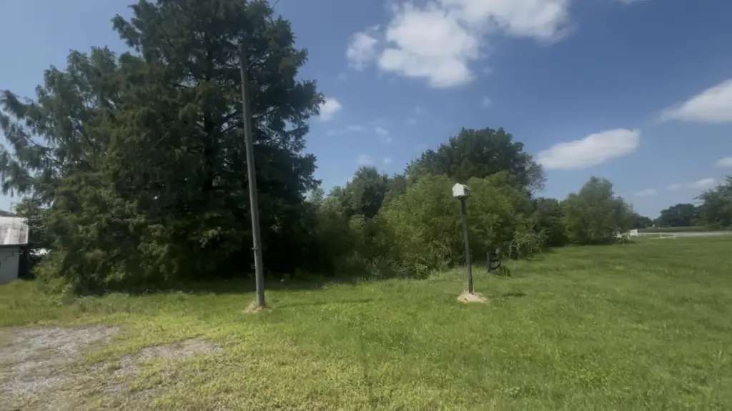 Picture 5