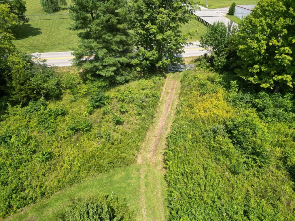 Picture 14