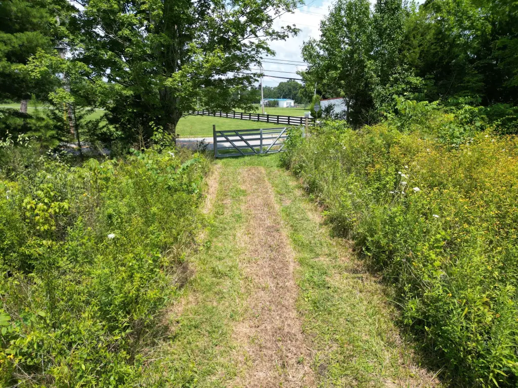 Picture 17
