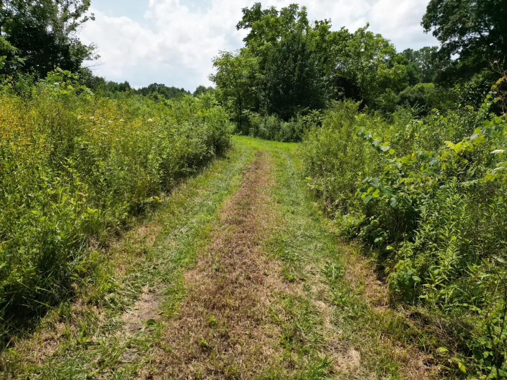 Picture 18