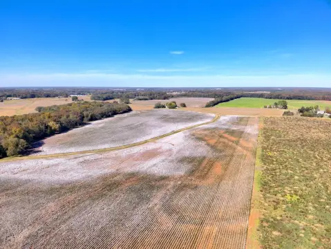 35 Acres of Farmland