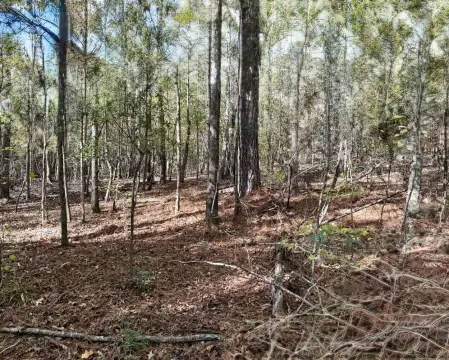 Northport Land with Income Potential