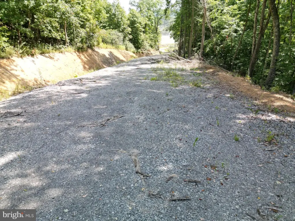 Picture 14