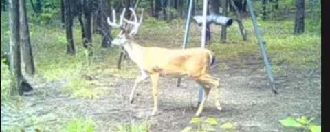 Quinlan, TX Unimproved Land