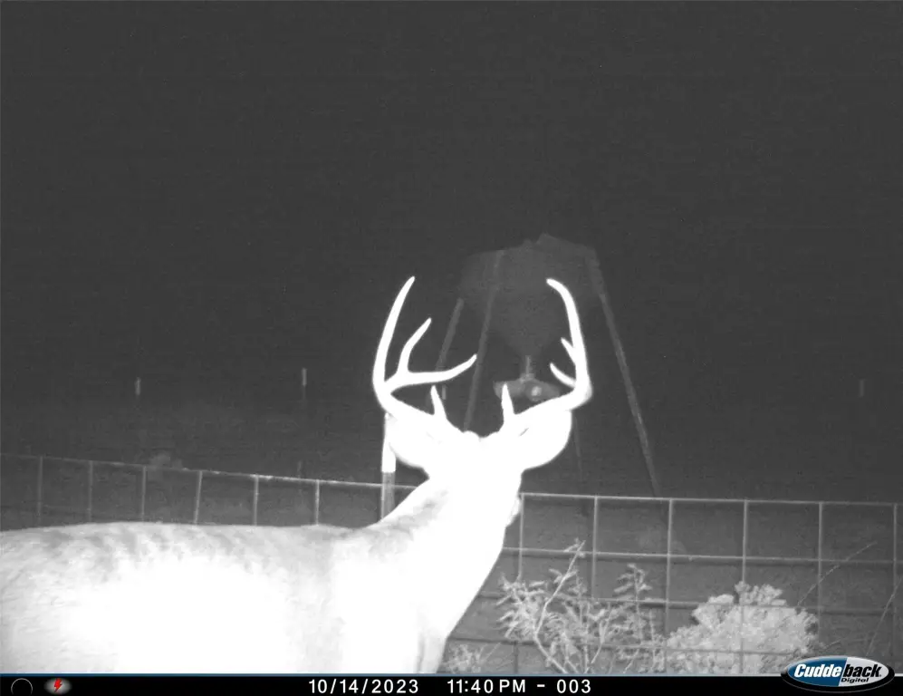 Picture 4