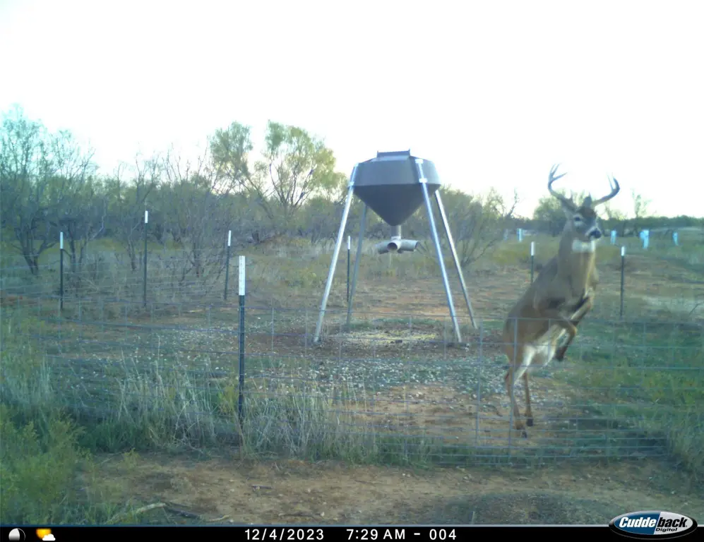 Picture 40
