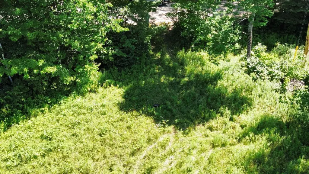 Picture 21