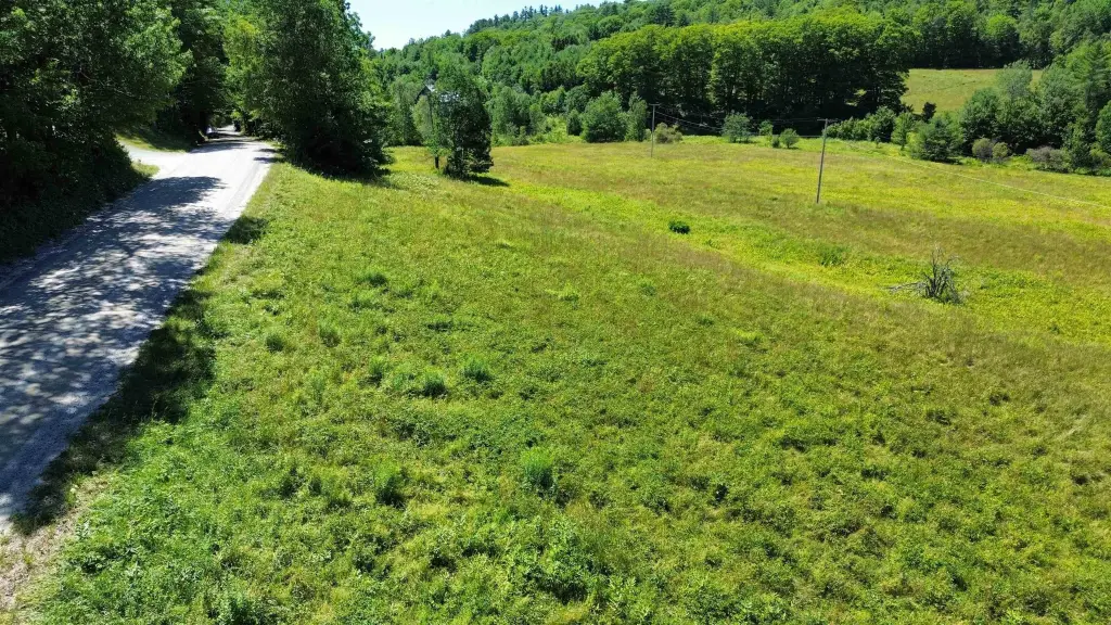 Picture 6