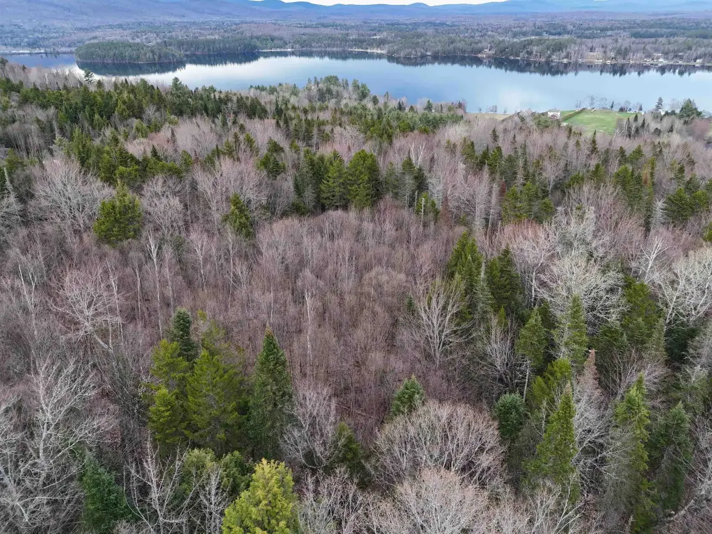 Picture 18