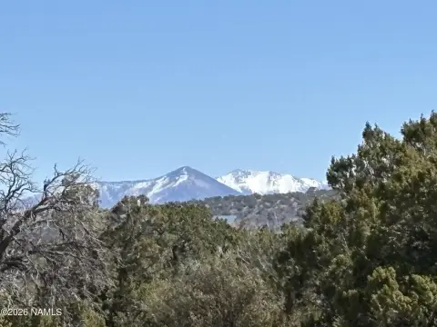 Williams Land Near Grand Canyon