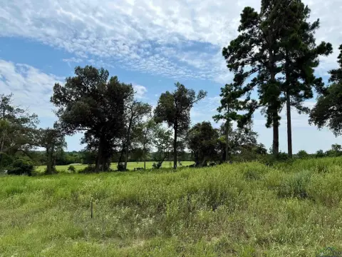 Residential Lot in Hawkins, TX