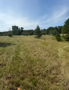 9.99 Acre Fenced Land in Texas